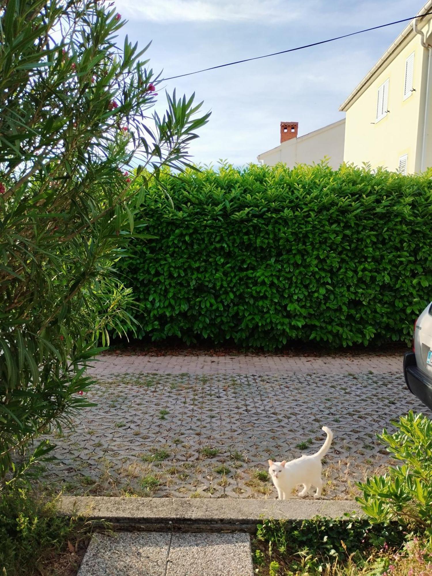 Ervin Cosy Two Bedroom Center *